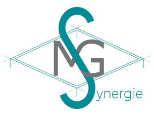 logo MG Synergie